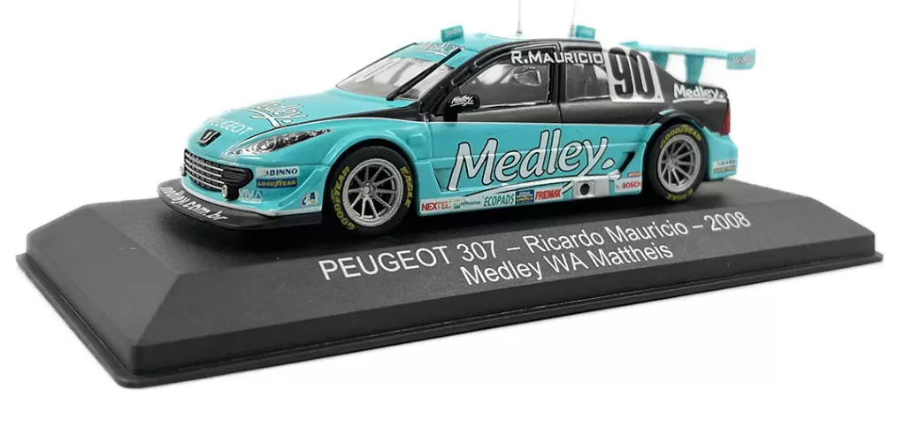 Peugeot 307 Ricardo Maurício 2008 - Meddley WA Mattheis